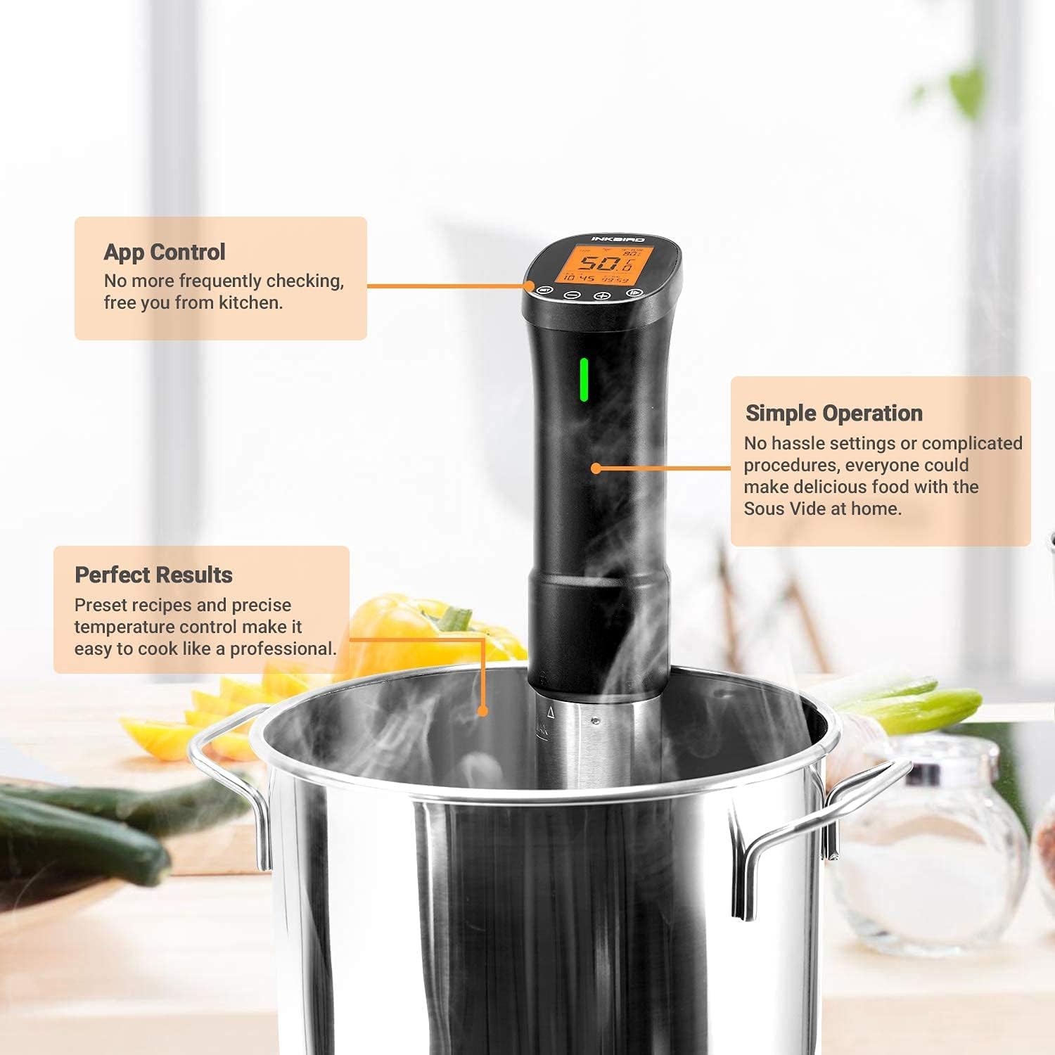 INKBIRD ISV-200W Thermoplongeur Chauffe eau + Boîte de Rangement | Set de WiFi Cuisson Sous Vide avec Étuis en Rigide et PVC pour le Voyage et le Stockage