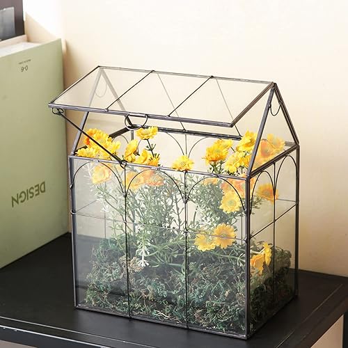Miniatura 3 de Giadun Macetero grande de cristal para casa  planta suculenta terrario en forma de casa de vidrio con tapa, orquídea de mesa interior suculenta