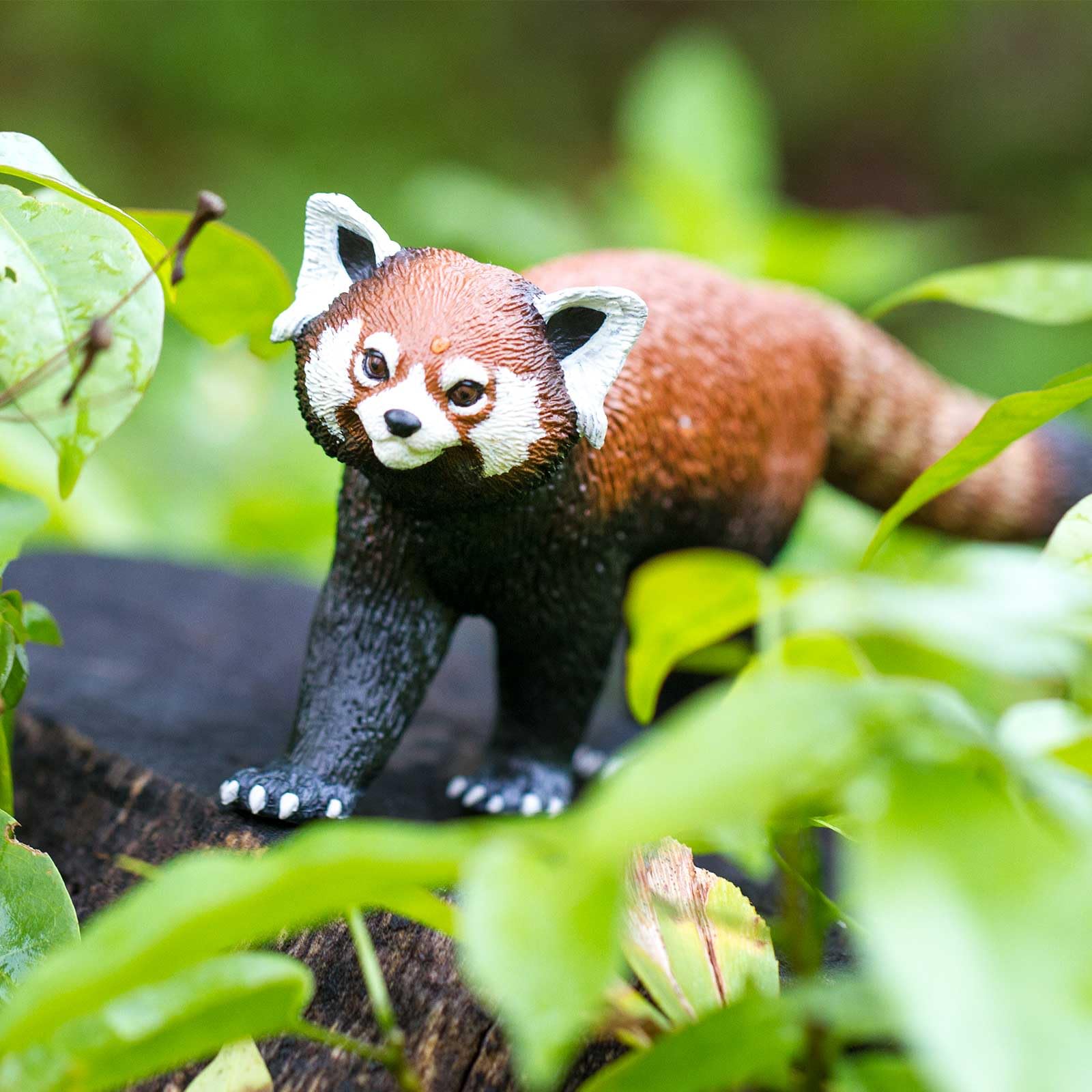 Safari Ltd. Rote Panda Figur - 19,7 Cm Groß, Detailgetreu, Ungiftig & BPA-frei, Für Kinder Ab 3 Jahren