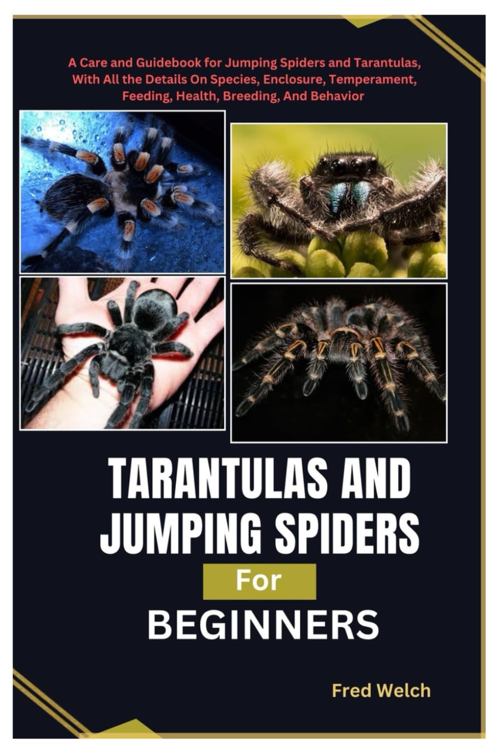 Tarantulas and Jumping Spiders for Beginners: A Care and Guidebook for Jumping Spiders and Tarantulas, with all the details on species, enclosures, temperament, feeding, health, breeding and behaviors