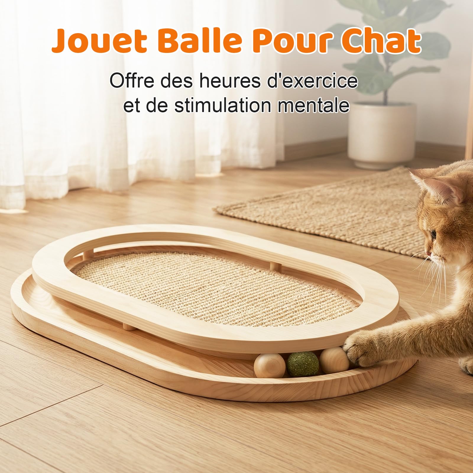Grattoir pour Chat,Jouet pour Chat 2 en 1 avec Circuit,Tapis à Griffer