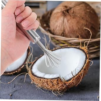 4pcs Coconut Opener Meat Extractor Stainless Steel Handheld Grater Coconut Shredder Fish Scaler Remover Tool for Kitchen