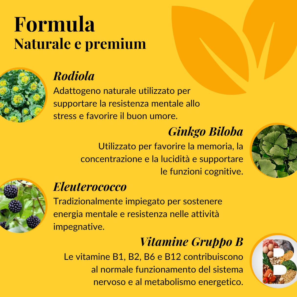 Mental Power Plus, Integratore Energia Mentale con Rodiola, Ginkgo Biloba, Eleuterococco, Vitamine B1, B2, B6, e B12 per Memoria e Concentrazione, Buon Umore, Contro Stress e Stanchezza