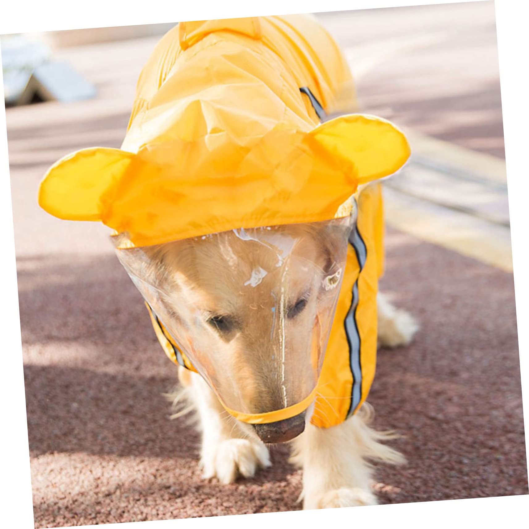 Angoily 3stücke Stylischer Hunderegenmantel Wasserdichter Poncho Für Hunde Praktischer Regenumhang Für Kleine Und Mittelgroße Hunde Für Nasses Wetter Modisches Hundezubehör Mit
