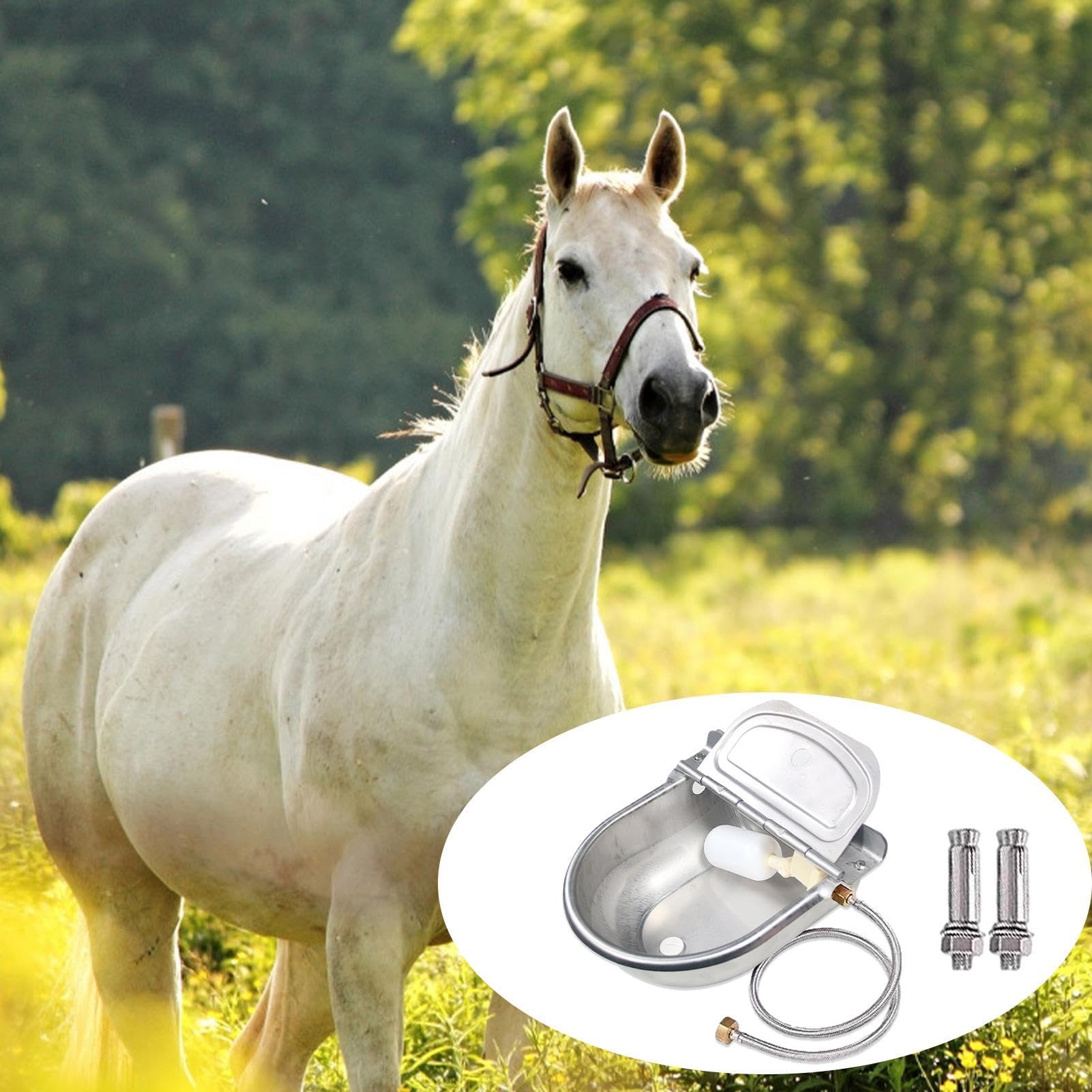 Bebedero automático para Perros, Bebedero automático de Acero Inoxidable | bebedero de ganado ajustable para animales de granja, perros, cerdos, ganado, ovejas