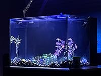 Review Image by Dr. Chetan Sawhney Reviews Dr. Chetan Sawhney Reviews