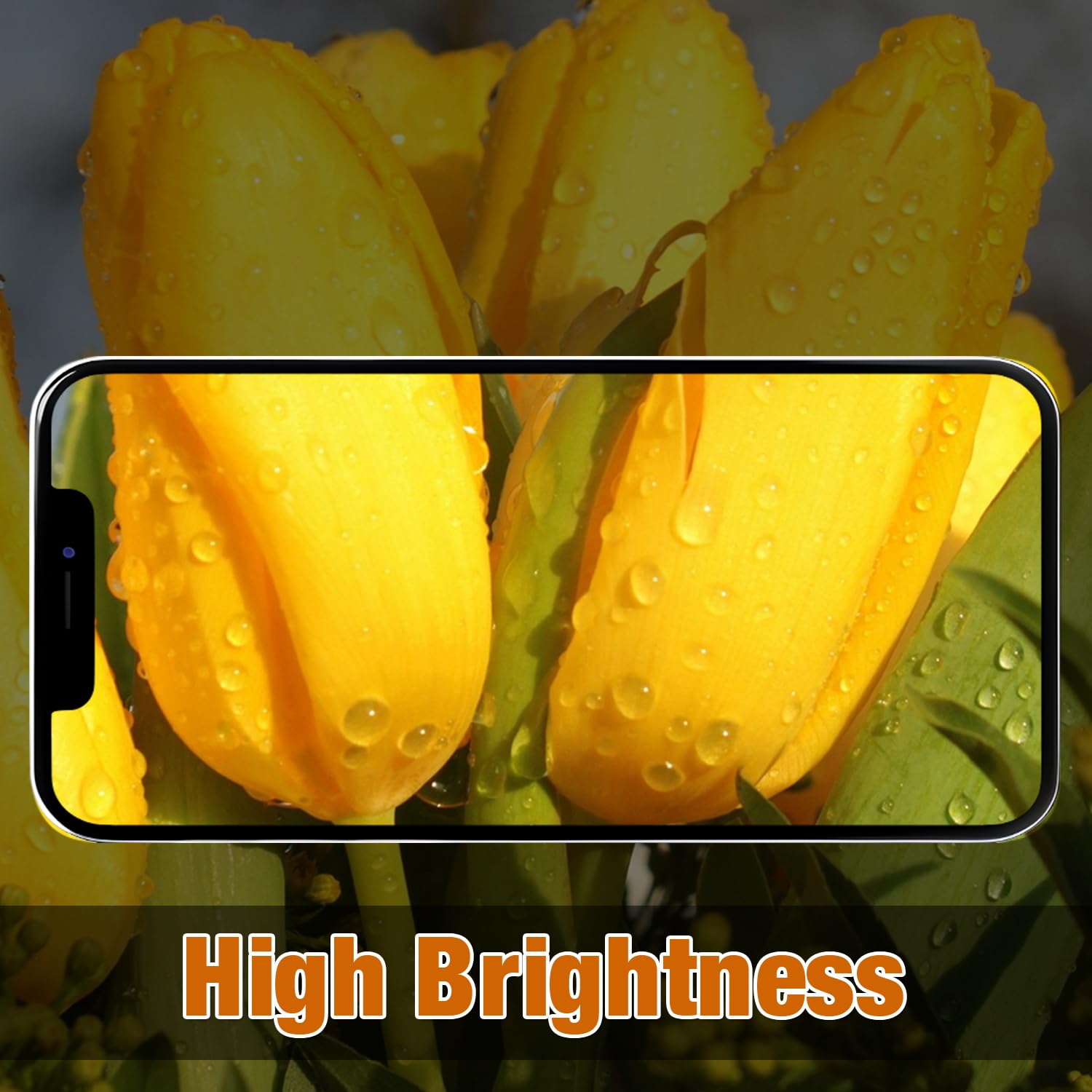 GOLDWANGWANG Display per iPhone 15 PRO, Schermo LCD Full HD 6,1" Touch Screen Digitizer Parti di Ricambio con Kit di Riparazione e Protezione Schermo