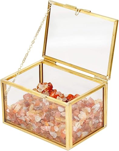 Miniatura 3 de rockcloud Contenedor de terrario de cristal curativo de cornalina para plantas de aire suculentas, soporte para plantas de aire de hadas, decoración