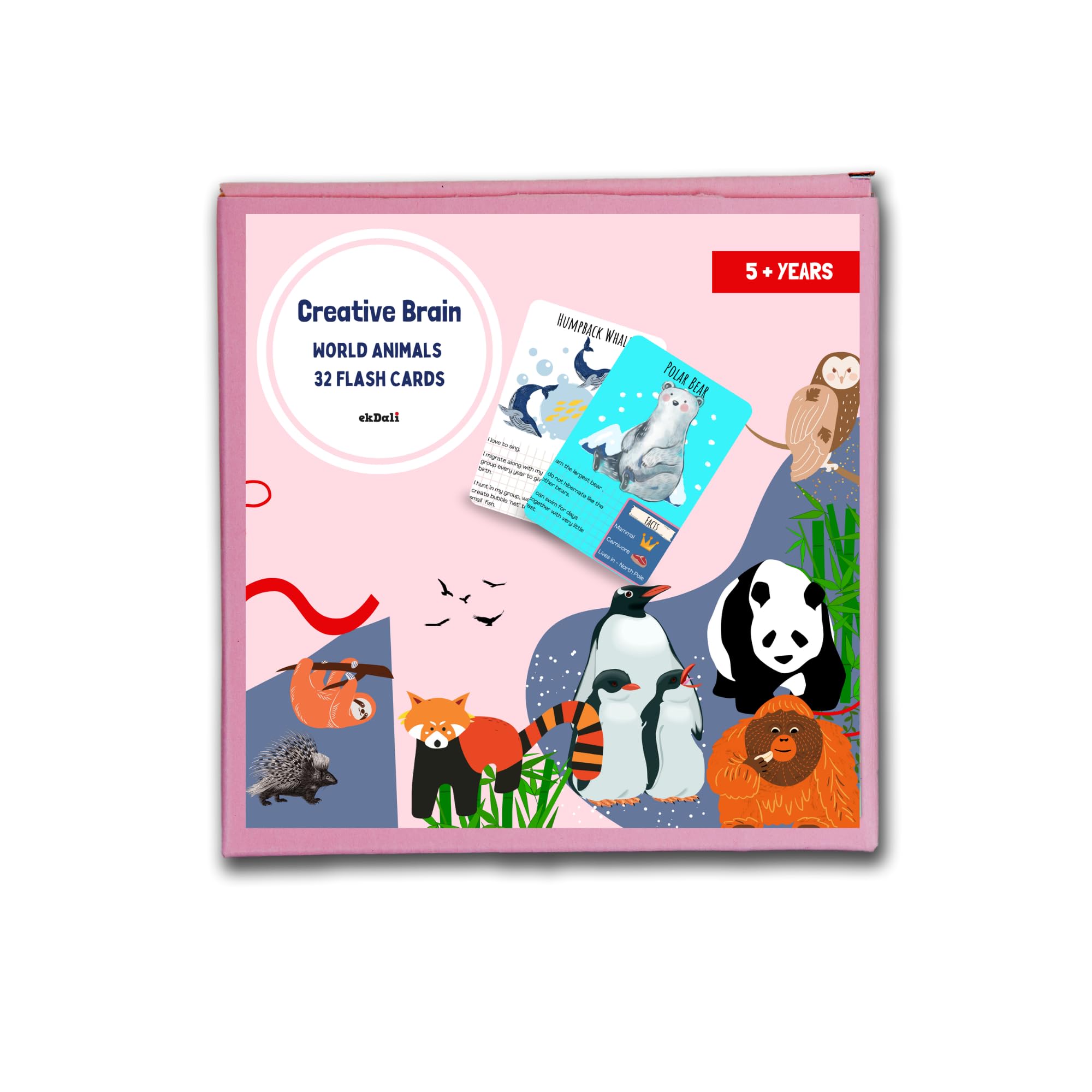 EKDALI Know About Animals Natural Habitat and Their Characteristics Flashcards| Creative Brain Animals Flash Cards for Kids Early Learning | (B09PTKZ8KG) Amazon Price History, Amazon Price Tracker
