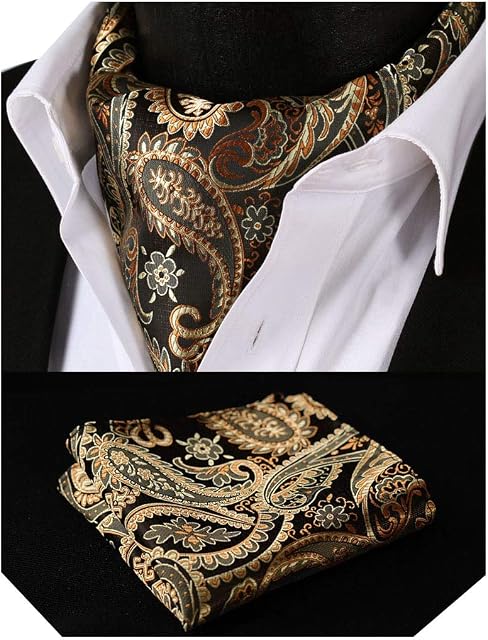 BIYINI Men's Cravats Paisley Floral Cravat and Handkerchief Ascot Tie Jacquard Woven Self Tie Cravats Business Formal Elegant Cravats for Men