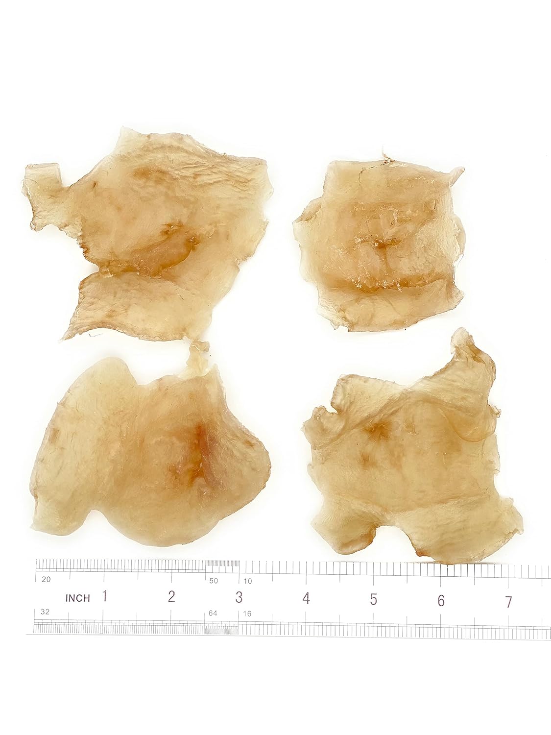 Natural Sun Dried Wild Caught Dried Butterfly Fish Maw South America Fish Maw Large SIZE 8oz 南美蝴蝶花胶 蝶肚 大蝶肚