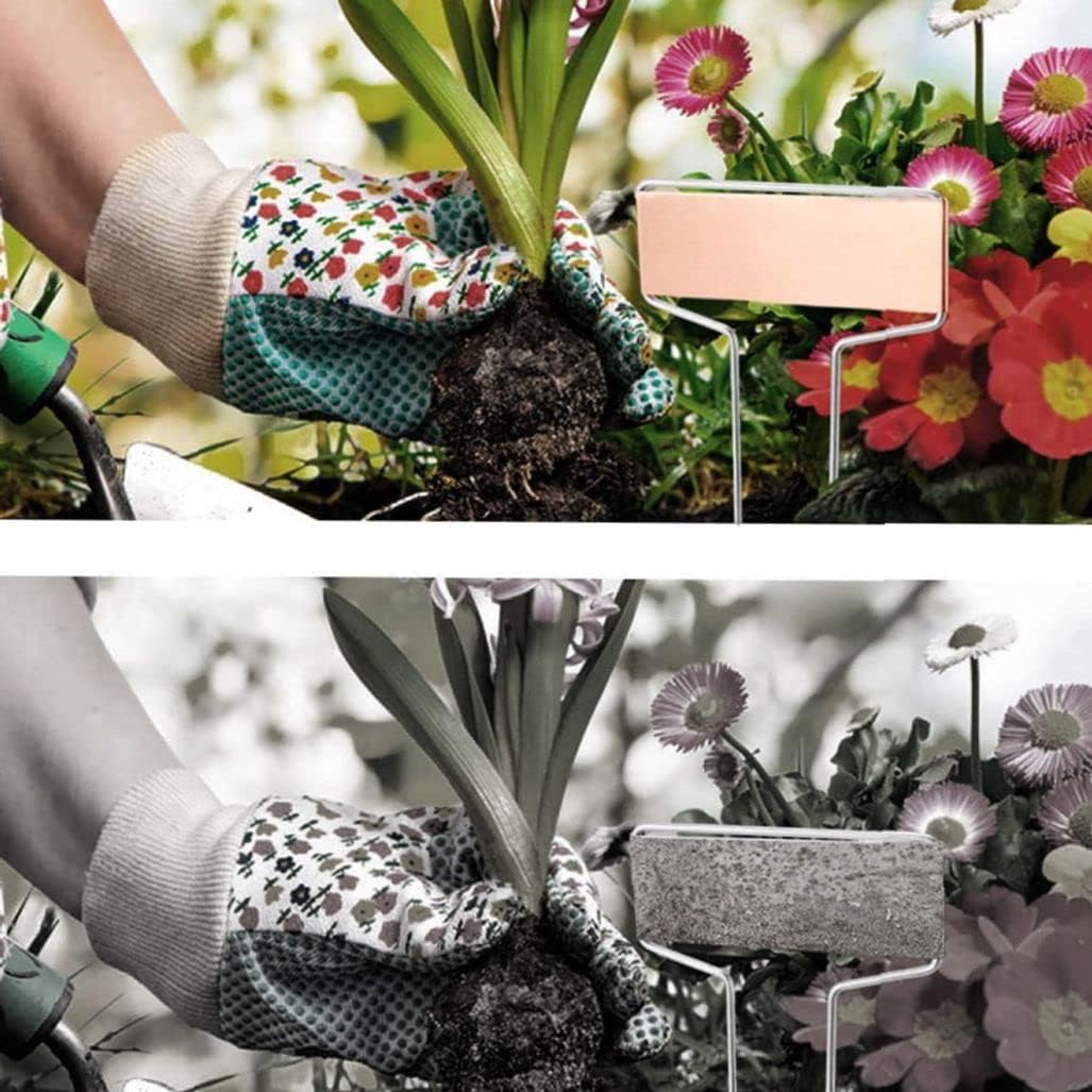 Plant Label, 25pcs Garden Markers Signs Labels, Reusable Copper Plate Metal Plant Labels Hanging Plant Tags for Plants Flower Bed, Pots, Planters, Garden