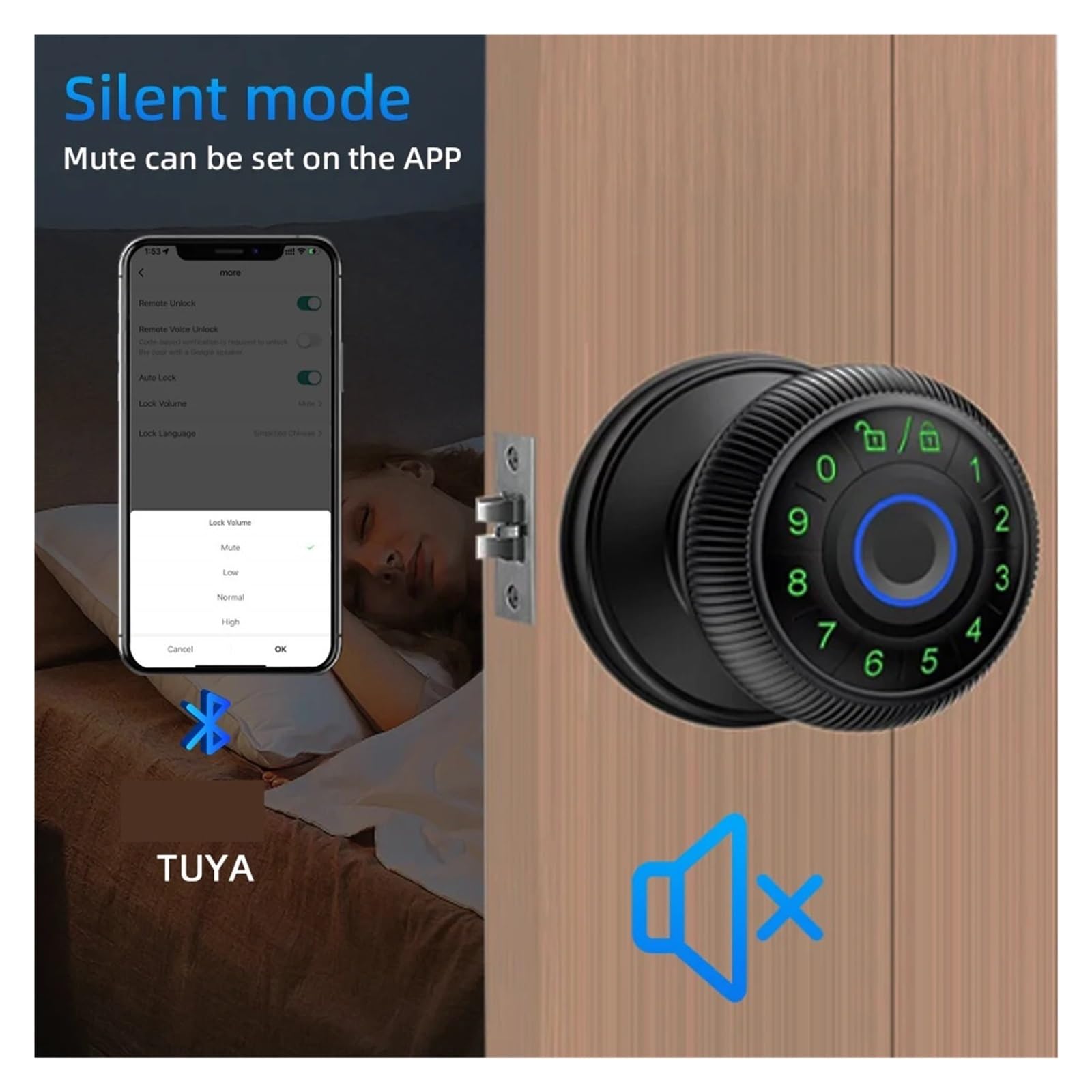 Q6 Smart Fingerprint Door Lock Round Knob Electronic with Password/Key APP Unlock(Q6 Black)