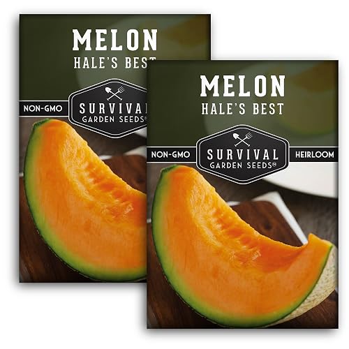 Cantaloupe Seeds for Planting – Hale’s Best Heirloom Melon with