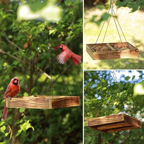 Miniatura 6 de MIXXIDEA Bandeja colgante para comedero de pájaros, bandeja de semillas de madera, bandeja colgante para colibríes, plataforma de semillas de malla