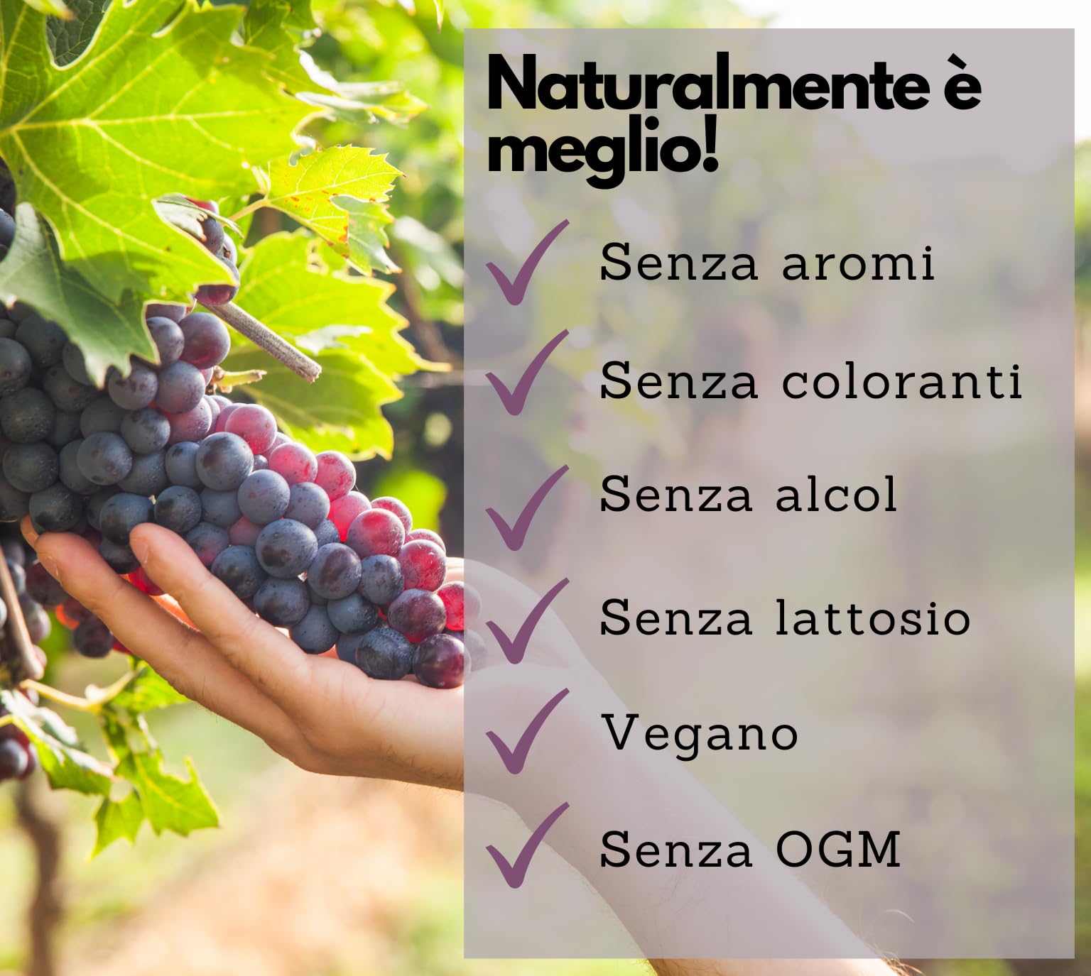 EXVital® OPC Estratto di semi d'uva - 240 capsule - dosaggio elevato con 500 mg per capsula - da uve francesi - testato in laboratorio e vegano