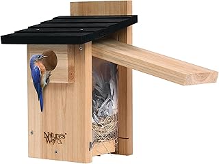 Nature's Way Bird Products CWH4 Cedar Bluebird Viewing House - Buy now