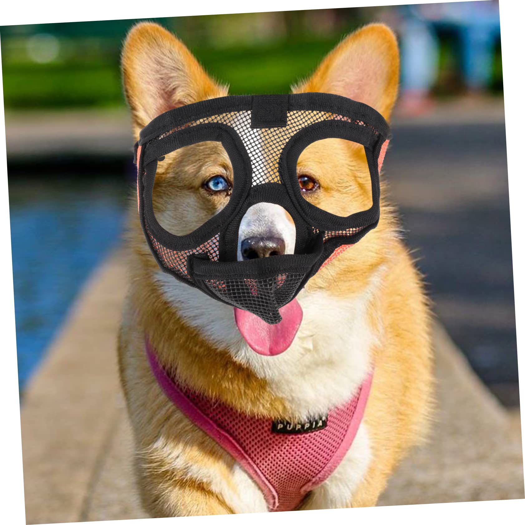 POPETPOP 3pièces Muselière Respirante pour Chien à Museau Court Confortable Et Ajustable Idéale pour Prévenir Les Aboiements Morsures Accessoire Pratique pour Bulldog Et Autres Races