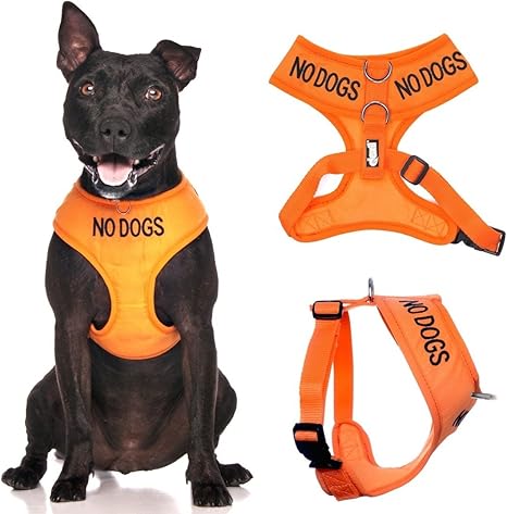 warning dog harness
