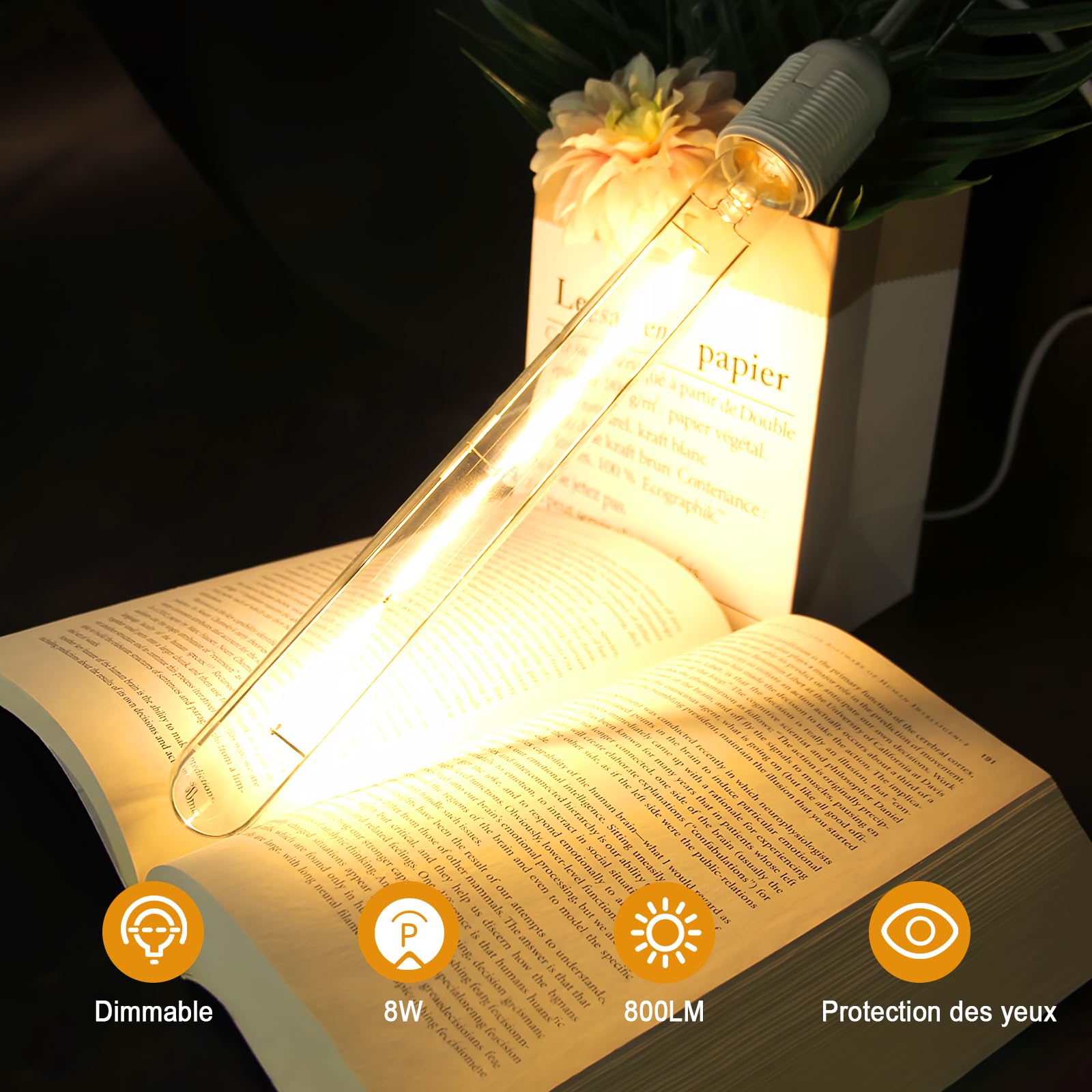 BRIMAX Ampoule LED E27 Dimmable 8W 2700K 300mm T30