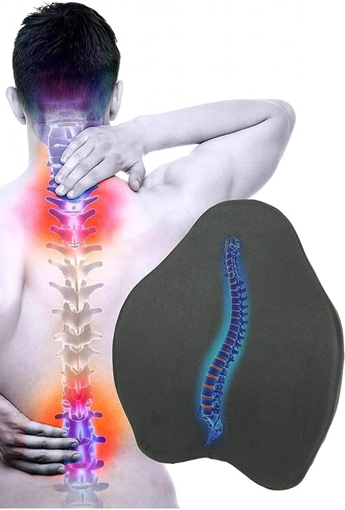 Sogex Visco-elastic New Generation Anatomical Waist Office Back Support Cushion Waist Pillow
