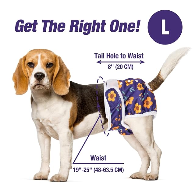 Foto 3 de 4 de Pet Soft Pañales Perro Hembra, Paquete de 3 Pañales Lavables para Perros L