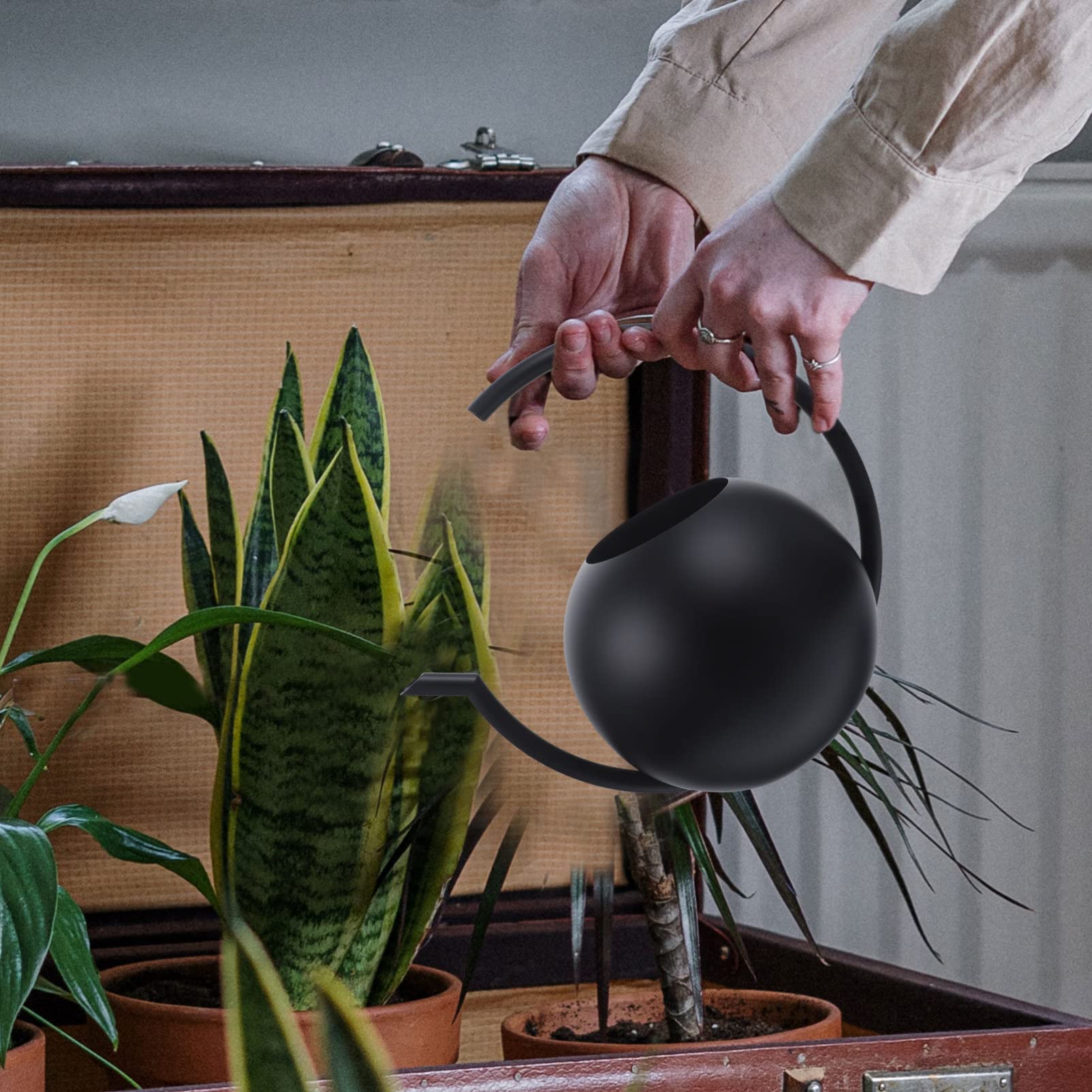 POPETPOP Elegante Annaffiatoio in Acciaio Inossidabile Nero Con Manico Rotondo Per Piante