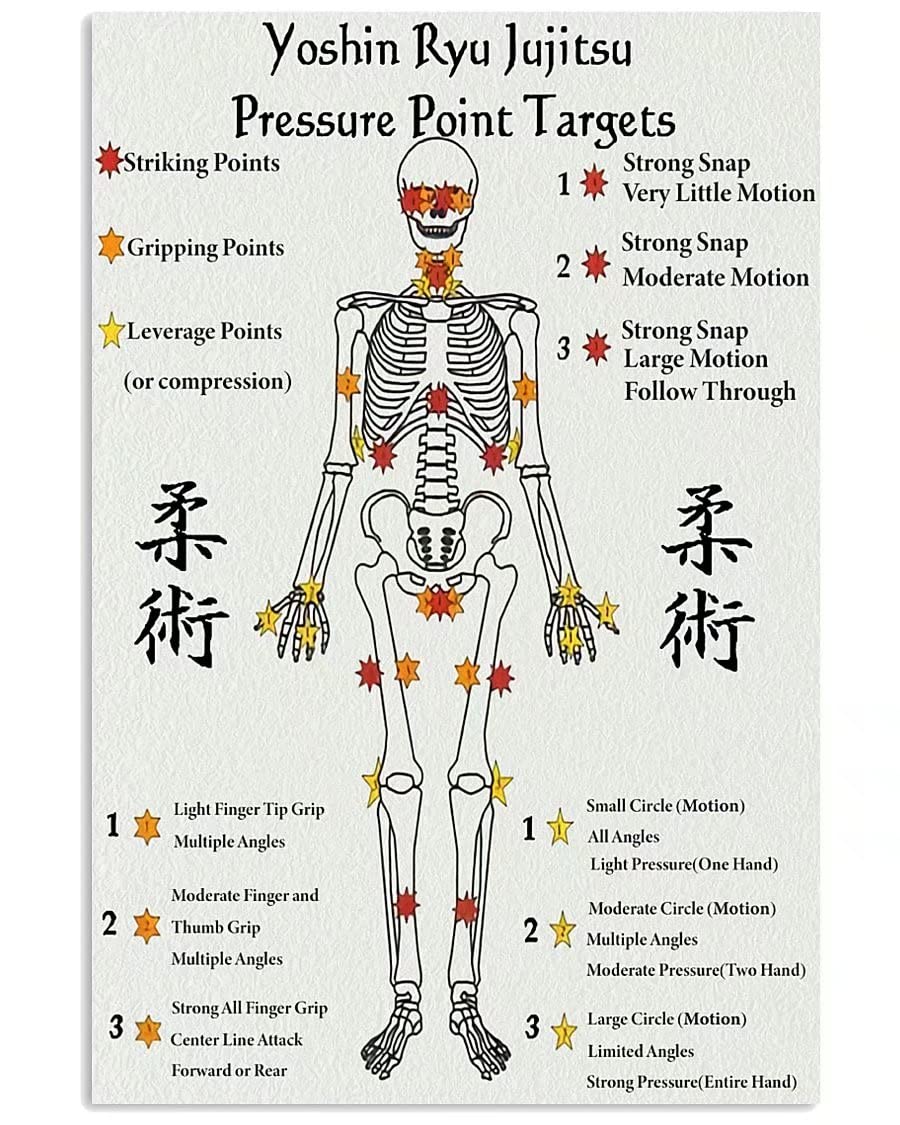 rayprint Yoshin Ryu Jujitsu Infographic Metal Sign Jiu-jitsu Knowledge Posters For Club Jiu-jitsu Lovers Home Office Bar Plaque Wall Decor 12x16 Inches