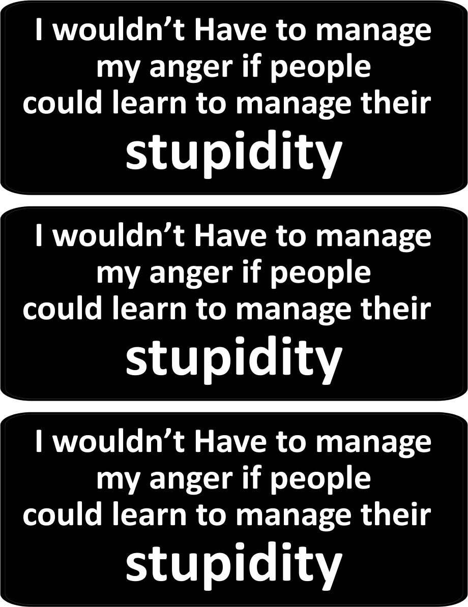 I Wouldn't Have to Manage My Anger If People Could Learn to Manage Their Stupidity 1.25
