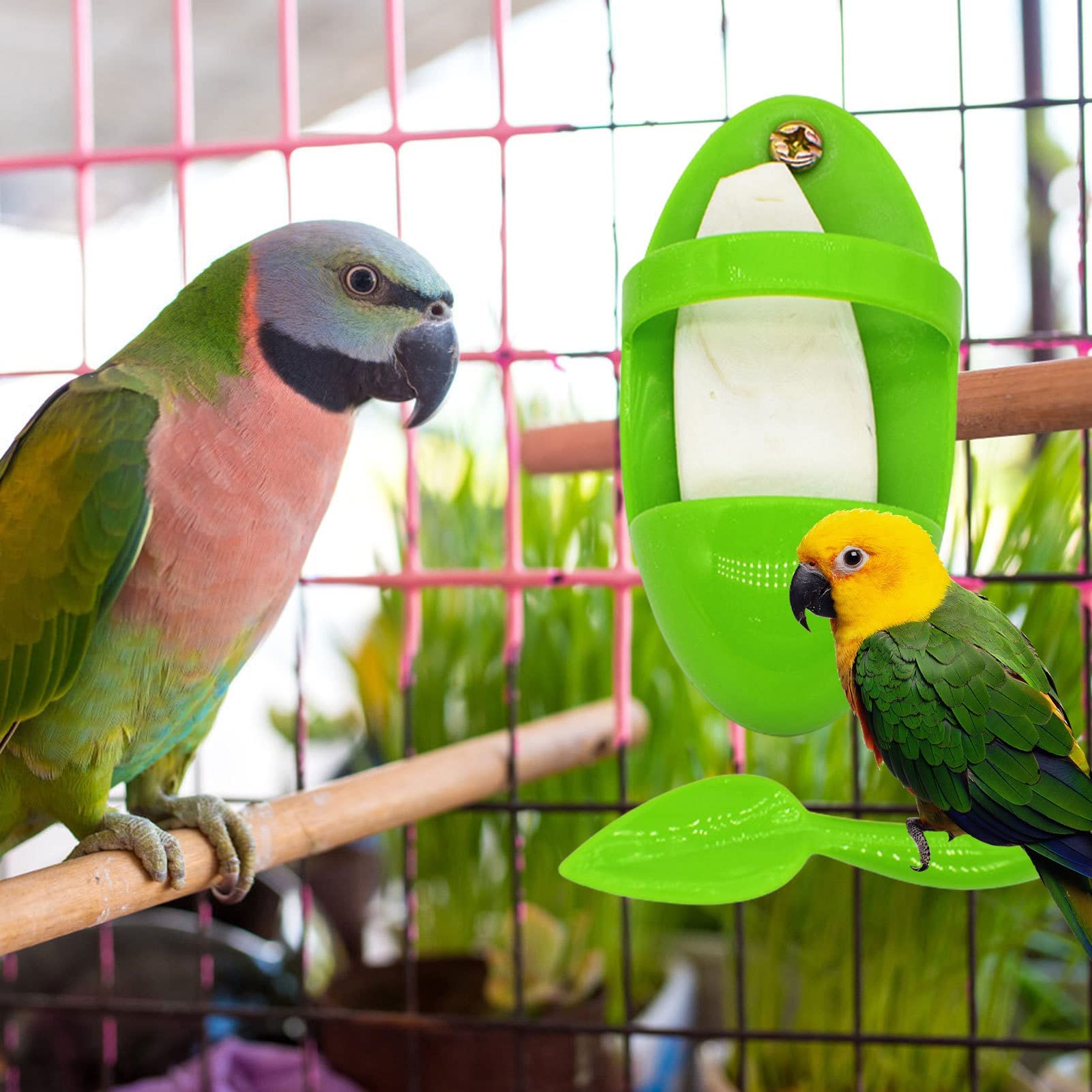 2pcs Bird Cuttlebone Holder Food Holder, Cuddle Bone Feeding Rack, Plastic Cuttlebones Treat Feeder Bird Cage Accessories, Storage Bowl Feeding Cup Birds Stand Racks for Budgies Parakeet Cockatiel