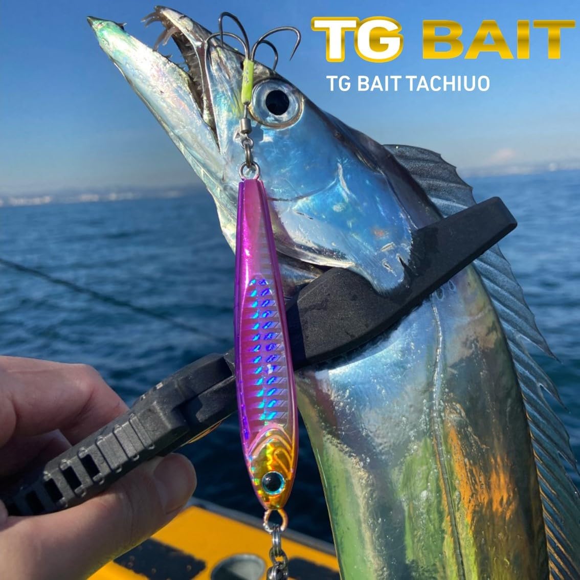 Daiwa TG Bait Tachiuo