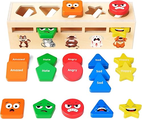JoyCat Montessori - Juguetes de clasificación de madera, para niños de 2, 3 y 4 años, clasificador de colores de formas, caja a juego de