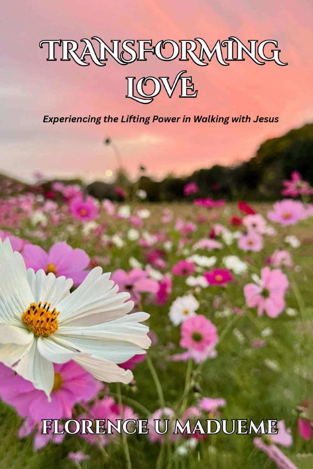Transforming Love: Experiencing the Lifting Power in Walking with Jesus