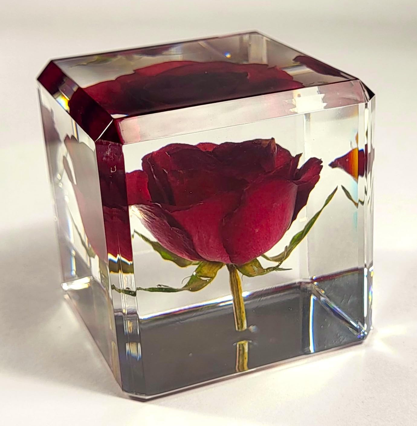 2.4" Real Red Rose in Crystal Clear Lucite Resin Cube Anniversary Wedding Engagement Valentine Day Gift June Birth Month Flower Display Decor Collection Botanist Herb Herbarium Paperweight