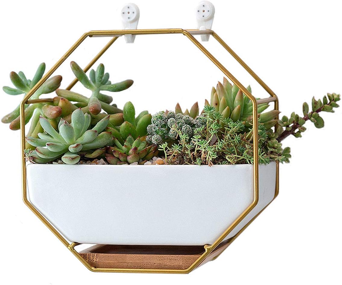 VanEnjoy 7" White Ceramic Wall Planters Vase and Copper,Drainage Hole with Bamboo Tray - Succulent Pot Air Plants Mini Cactus Artificial Flowers Hanging Geometric Hexagon Wall Decor (Gold Metal)