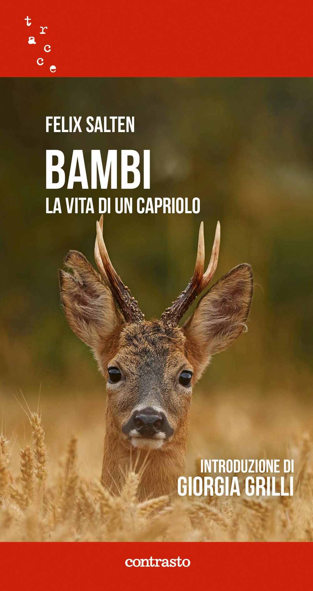 Bambi. La Vita Di Un Capriolo - 4
