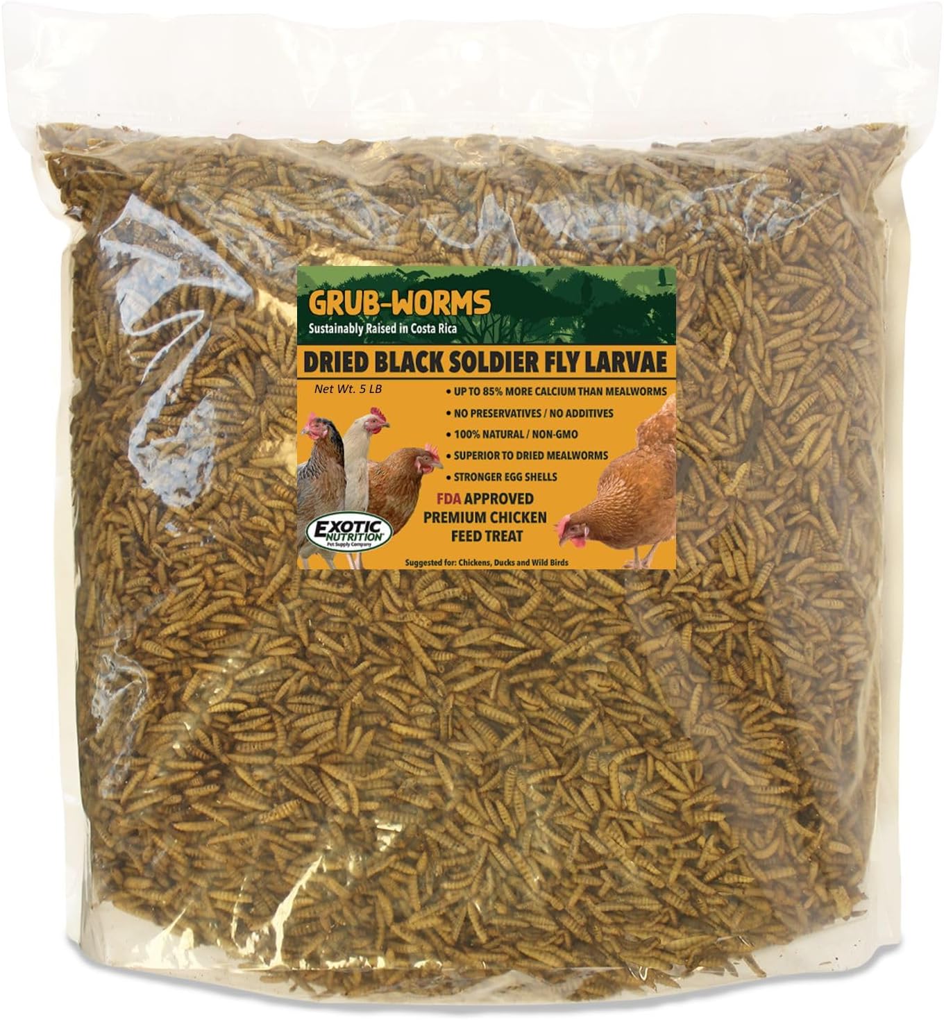 Exotic Nutrition 5 LB Grub-Worms Chicken Feed | Grown in Americas | Better Than Mealworms | Dried Black Soldier Fly Larvae BSF