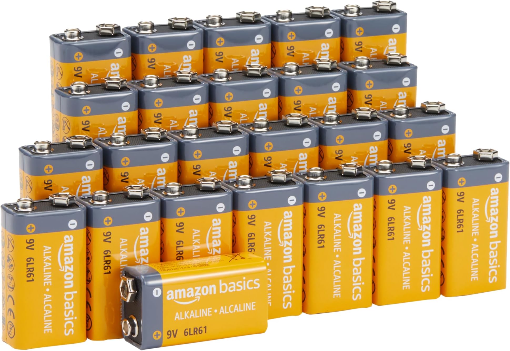Amazon Basics 24 Pack 9 Volt Performance All-Purpose Alkaline Batteries, 5-Year Shelf Life, Easy to Open Value Pack