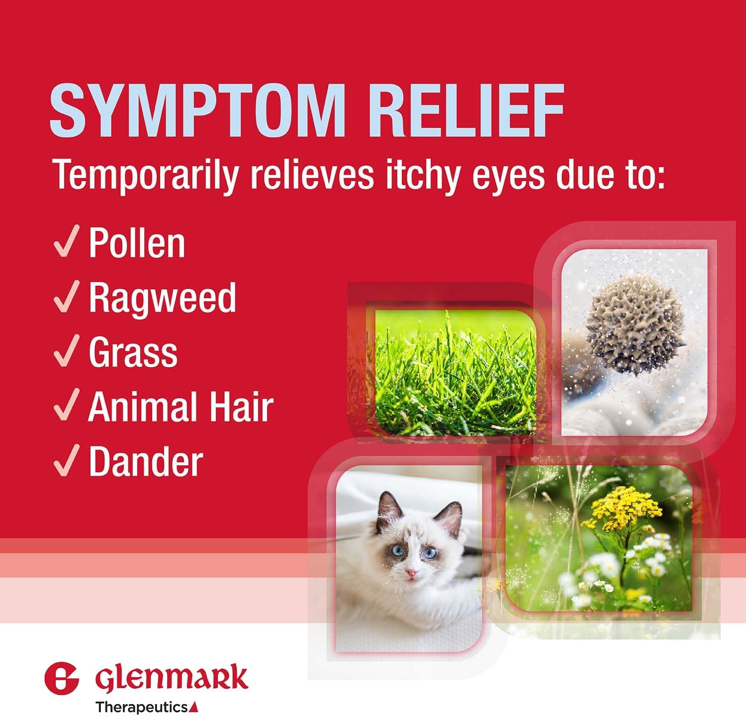 Glenmark Therapeutics Olopatadine Eye Drops for Allergies, Redness Relief, Antihistamine Eye Drops, Allergy Relief from Pet Dander, Pollen, Grass, Ragweed, Works in Minutes, Olopatadine HCl 0.2% 2.5ml - Image 4