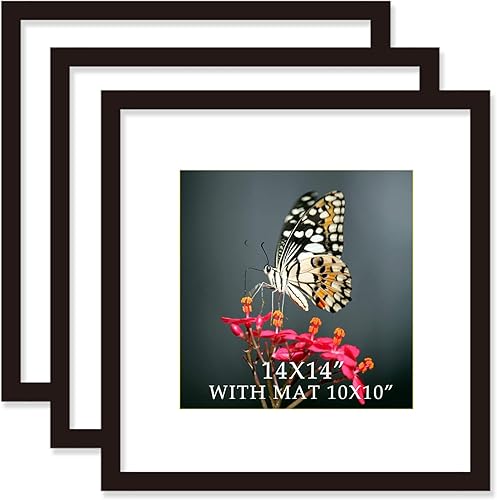 Miniatura 8 de VITOIVE Marco negro de 18 x 18 pulgadas con paspartú de madera maciza de 14 x 14 pulgadas, montaje en pared (1 paquete, 18 x 18 pulgadas)