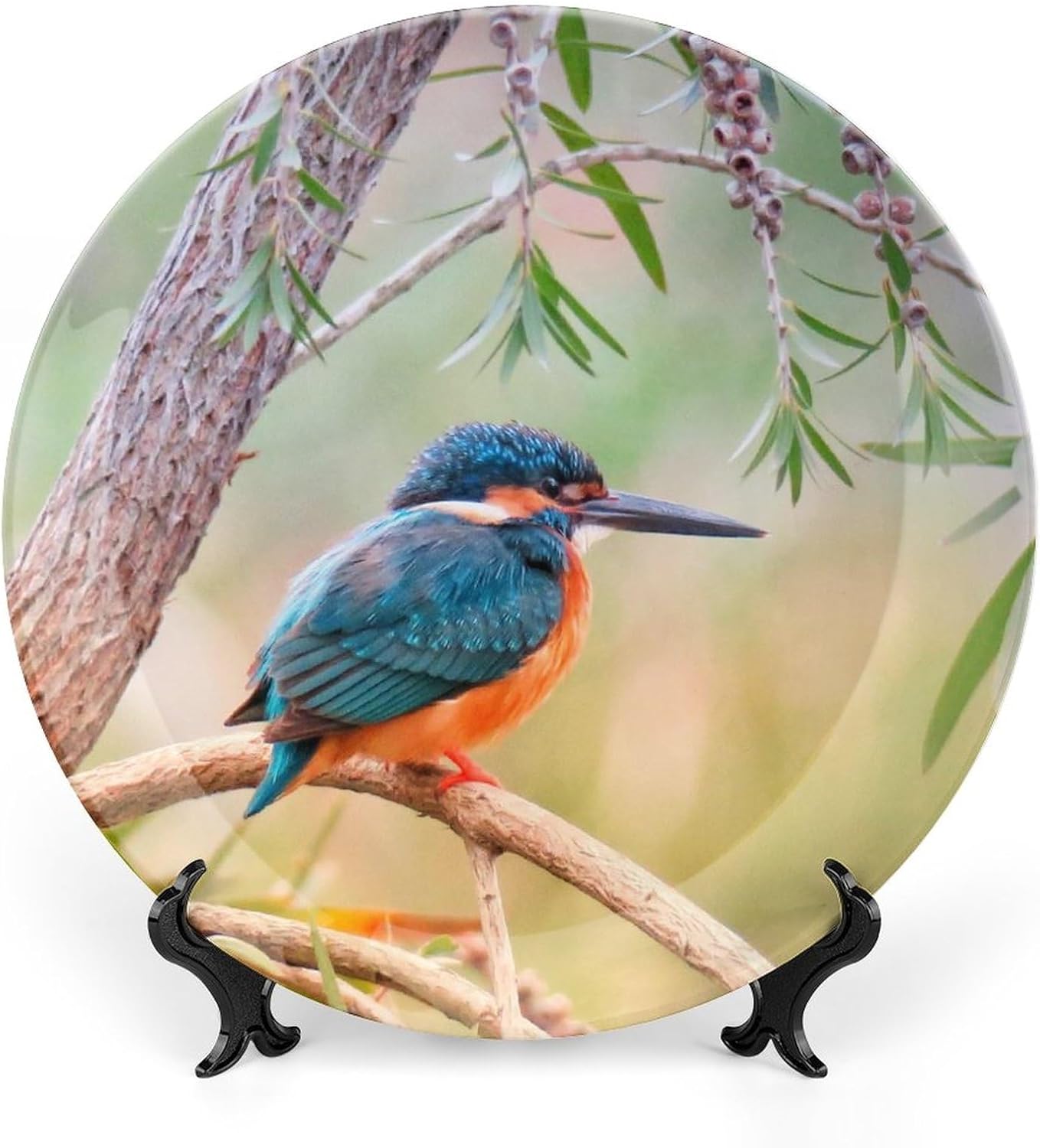 Kingfisher Bird Decorative Wall Plates, Ceramic Plate Wall Decor, Wall Hanging Decor Plates, Porcelain Plates with Display Stand, Modern Birds Decor, Home Office Party Dinner Table Decor