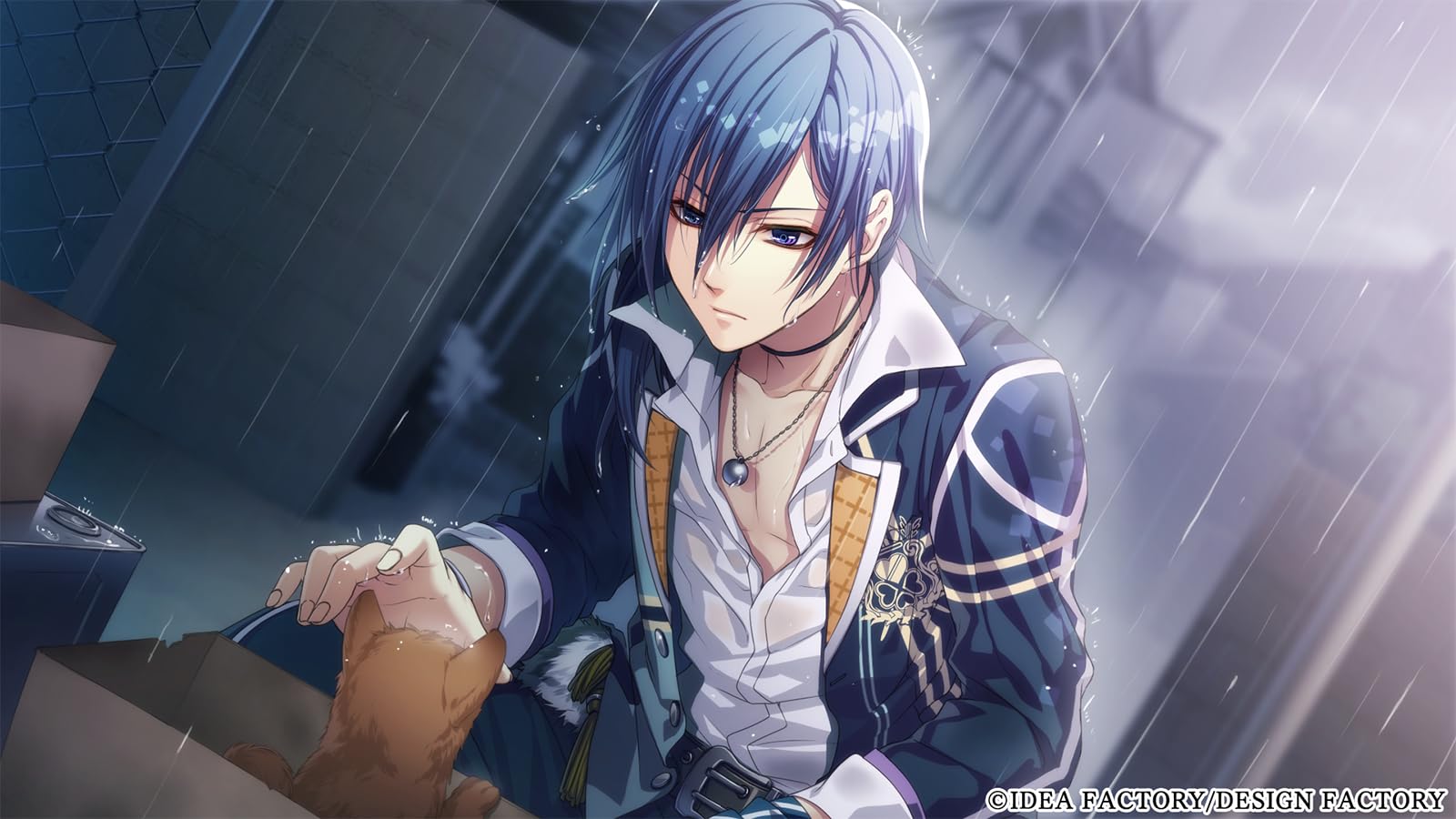 Amazon.co.jp: Glass Heart Princess for Nintendo Switch 特装版