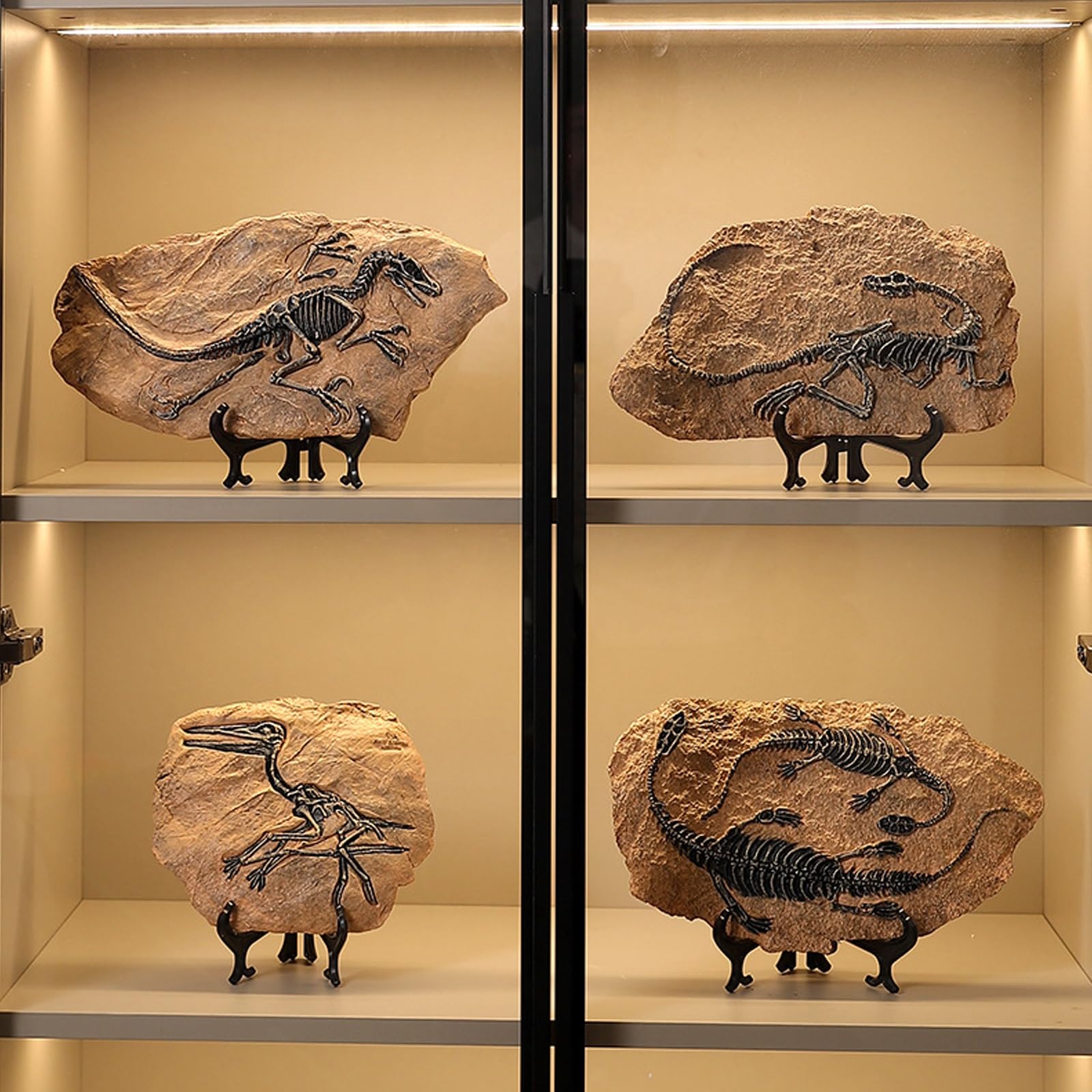 Estatua de fósil de Dinosaurio, Figuras de fósil de Dinosaurio Tyrannosaurus Rex de Resina, Escultura de paleontología Retro, Adornos creativos de artesanía de Resina, Modelo de Esqueleto(A)