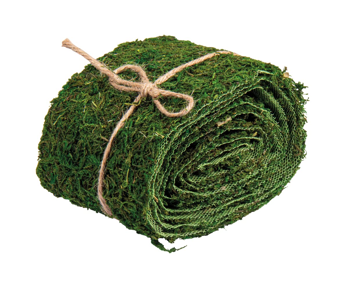 GJS IJslands mos, 1 kg, 500 g of 200 g, verschillende kleuren - Geconserveerd, natuurlijk mos (IJslands mos) om mee te knutselen, bijvoorbeeld voor Pasen of modelbouw (donkergroen, 4 kg GJS IJslands mos, 1 kg, 500 g of 200 g, verschillende kleuren - Geconserveerd, natuurlijk mos (IJslands mos) om mee te knutselen, bijvoorbeeld voor Pasen of modelbouw (donkergroen, 4 kg