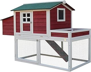 Amazonfr Poulailler Avec Pondoir