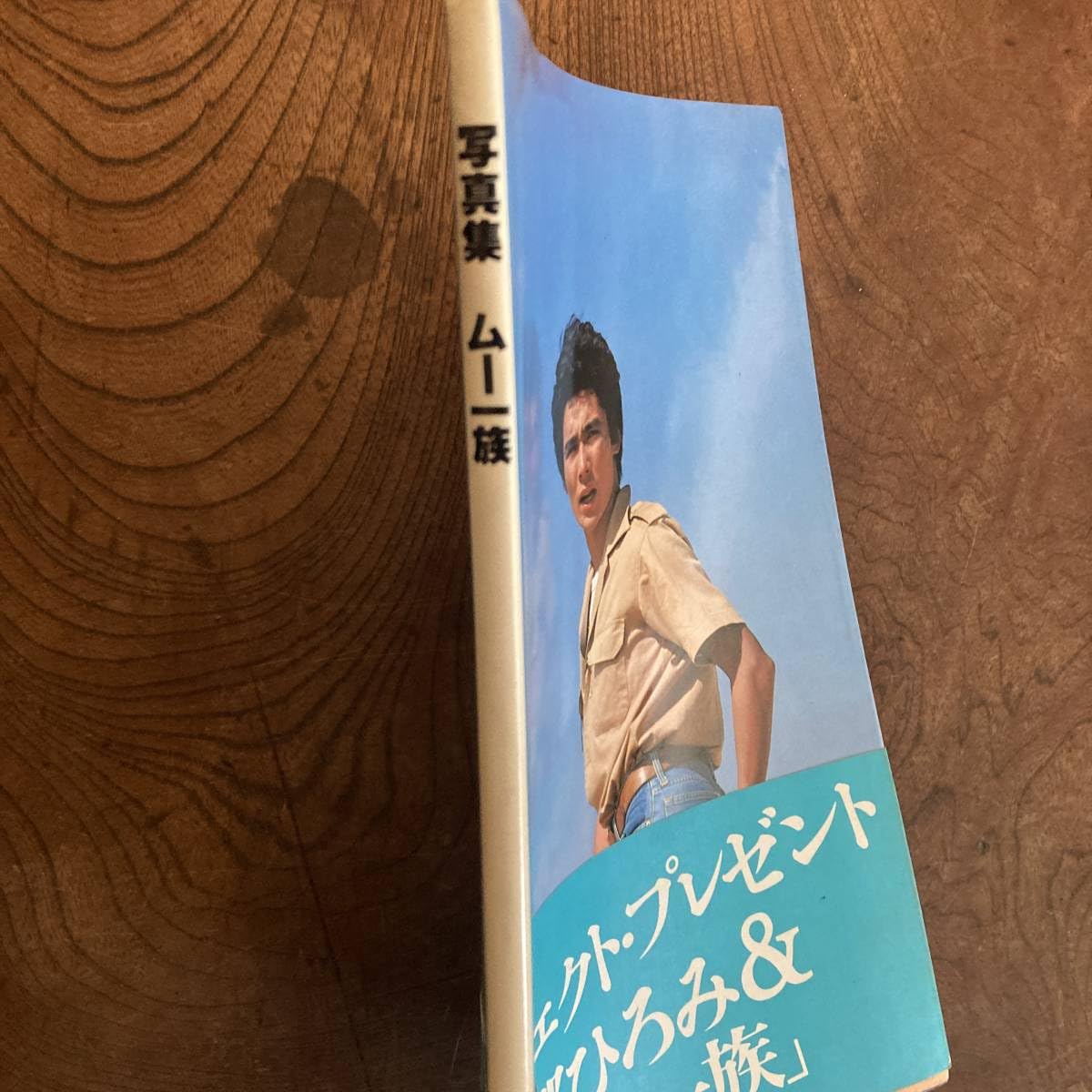 本 写真集 ムー一族 郷ひろみ TBS映画社編