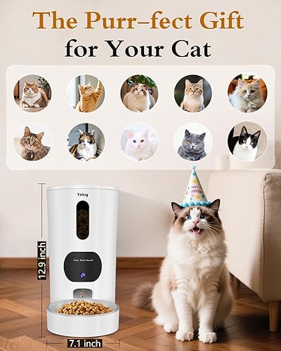 Miniatura 9 de Yakry Comedero automático para gatos con cámara, WiFi 5G, fácil instalación, control de aplicación, dispensador de alimentos secos para gatos con