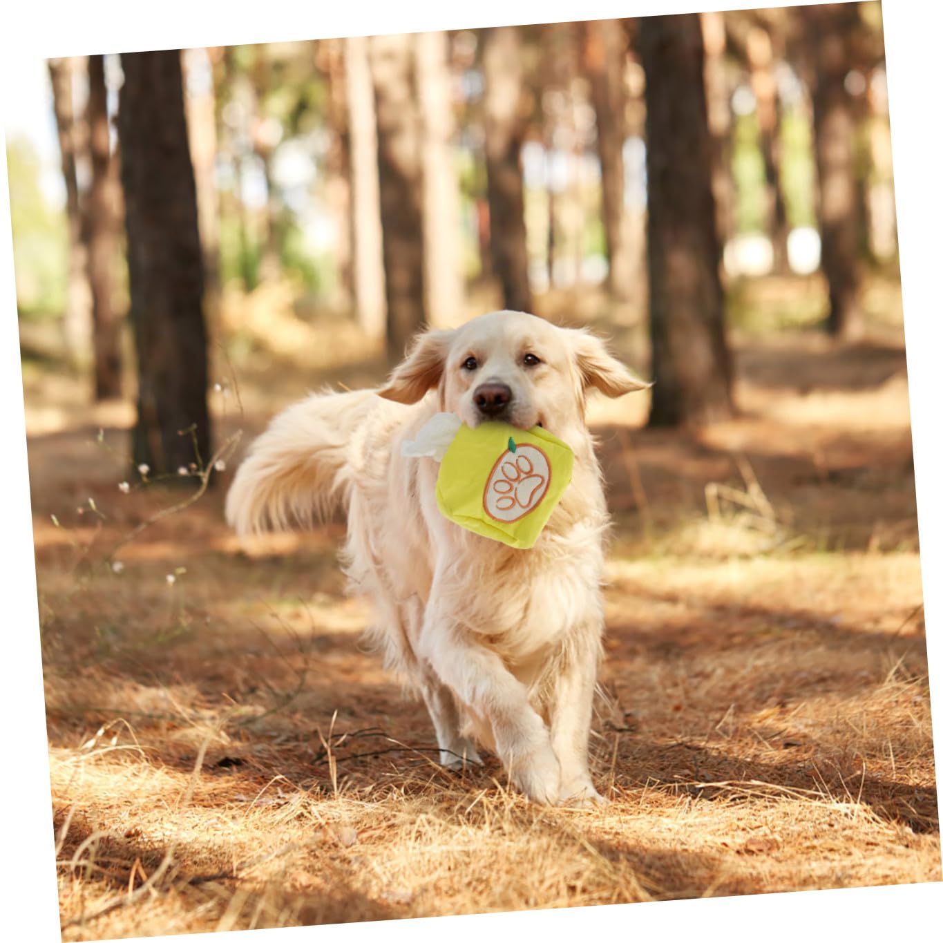 SUPVOX 4piezas Juguete Interactivo para Perros Caja para Olfateo y Forrajeo Entrenamiento De Olores para Mascotas Juguete Divertido para Cachorros Estimula El Ejercicio Energía