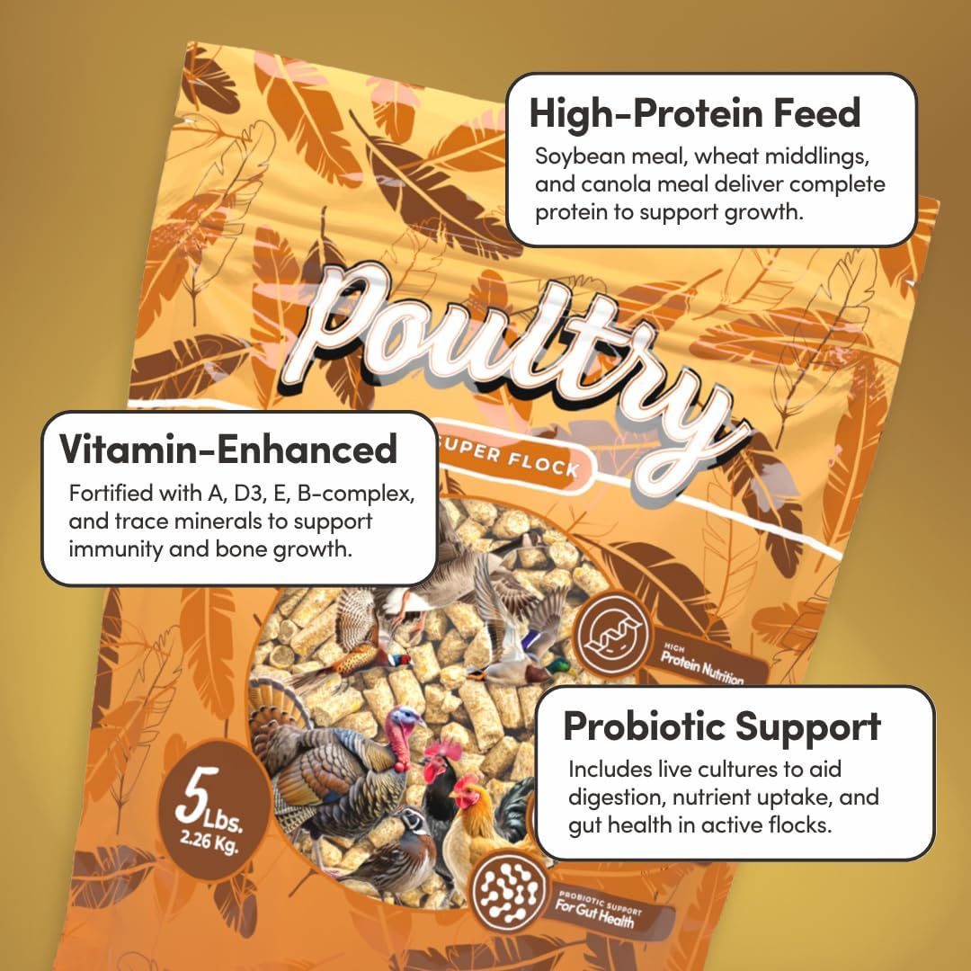 Mycelium Poultry Super Flock Feed (5 LB Bag) | High-Protein Poultry Feed with Probiotics & Vitamins | Supports Growth, Feather Health & Gut Function | Non-GMO, Made in USA