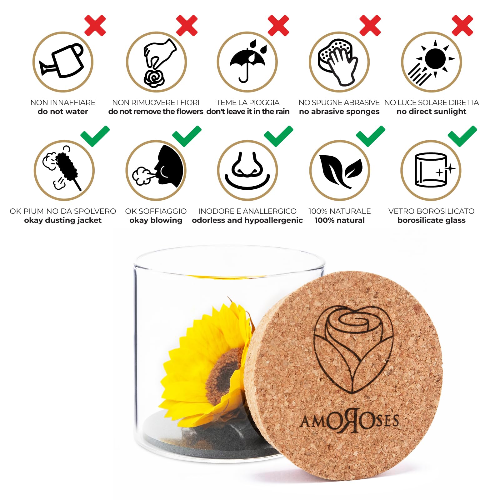 Amoroses Sunflo - Girasole Stabilizzato Fiore Eterno in Barattolo di Vetro | Idea Regalo